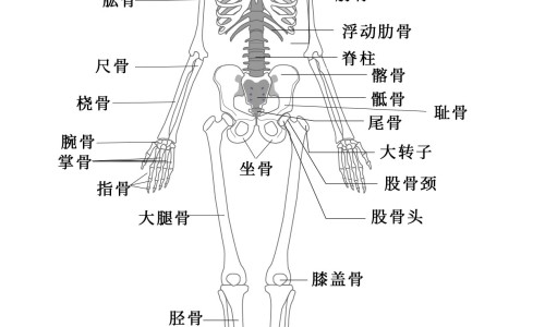 原味麦片营养表-原味营养麦片成分网 | 原味麦片营养表,原味营养麦片的功效与作用